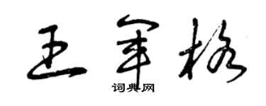 曾庆福王军格草书个性签名怎么写