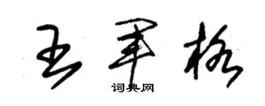 朱锡荣王军格草书个性签名怎么写