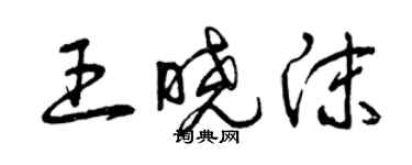 曾庆福王晓沫草书个性签名怎么写
