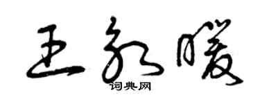 曾庆福王永暖草书个性签名怎么写