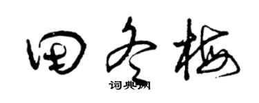 曾庆福田冬梅草书个性签名怎么写