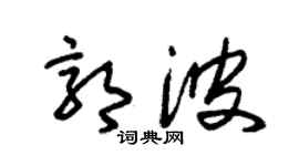 朱锡荣郭波草书个性签名怎么写