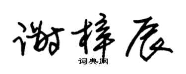 朱锡荣谢梓辰草书个性签名怎么写