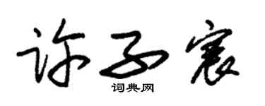 朱锡荣许子宸草书个性签名怎么写