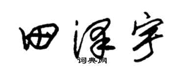 朱锡荣田泽宇草书个性签名怎么写