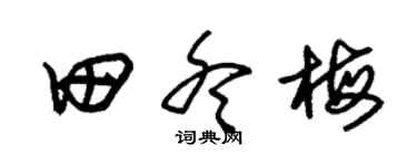 朱锡荣田冬梅草书个性签名怎么写