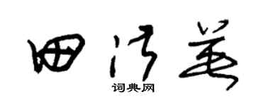 朱锡荣田淑英草书个性签名怎么写