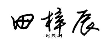 朱锡荣田梓辰草书个性签名怎么写