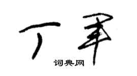 朱锡荣丁军草书个性签名怎么写