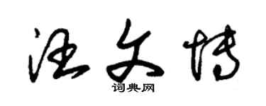 朱锡荣汪文博草书个性签名怎么写