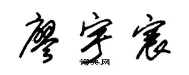 朱锡荣廖宇宸草书个性签名怎么写