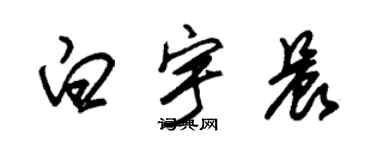 朱锡荣白宇晨草书个性签名怎么写