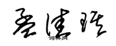 朱锡荣孟佳琪草书个性签名怎么写