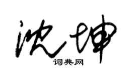 朱锡荣沈坤草书个性签名怎么写