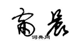 朱锡荣雷晨草书个性签名怎么写