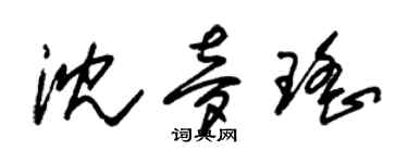 朱锡荣沈梦瑶草书个性签名怎么写
