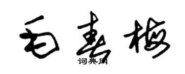 朱锡荣毛春梅草书个性签名怎么写