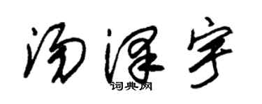 朱锡荣汤泽宇草书个性签名怎么写