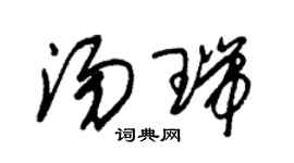 朱锡荣汤瑞草书个性签名怎么写
