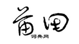 曾庆福苗田草书个性签名怎么写