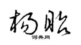 曾庆福杨昭草书个性签名怎么写