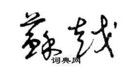 曾庆福苏越草书个性签名怎么写