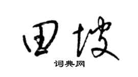 梁锦英田坡草书个性签名怎么写