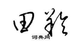 梁锦英田羚草书个性签名怎么写