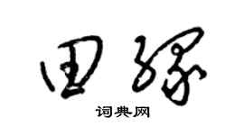 梁锦英田缘草书个性签名怎么写