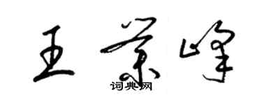 梁锦英王业峰草书个性签名怎么写
