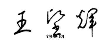 梁锦英王坚辉草书个性签名怎么写