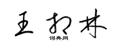 梁锦英王相林草书个性签名怎么写