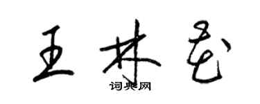 梁锦英王林花草书个性签名怎么写