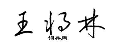 梁锦英王将林草书个性签名怎么写
