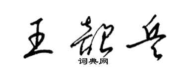 梁锦英王韶兵草书个性签名怎么写
