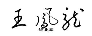 梁锦英王凤龙草书个性签名怎么写