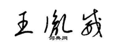 梁锦英王胤威草书个性签名怎么写