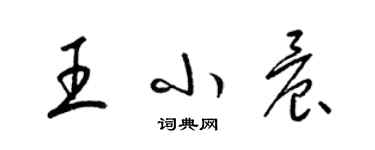 梁锦英王小晨草书个性签名怎么写