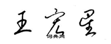 梁锦英王宏星草书个性签名怎么写