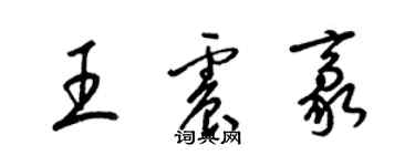 梁锦英王震豪草书个性签名怎么写