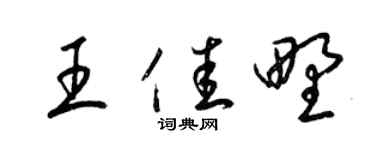 梁锦英王佳野草书个性签名怎么写