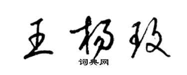 梁锦英王杨玫草书个性签名怎么写