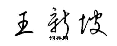 梁锦英王新坡草书个性签名怎么写