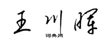 梁锦英王川晖草书个性签名怎么写