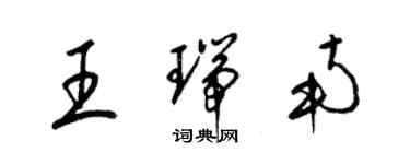 梁锦英王瑞南草书个性签名怎么写