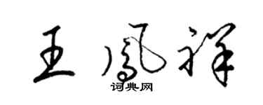 梁锦英王凤祥草书个性签名怎么写