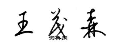 梁锦英王茂森草书个性签名怎么写
