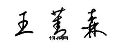 梁锦英王菁森草书个性签名怎么写