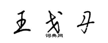 梁锦英王戈丹草书个性签名怎么写