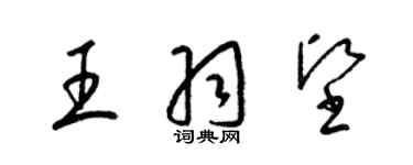 梁锦英王羽坚草书个性签名怎么写